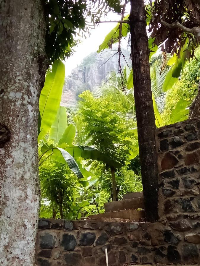 Forest Rawana Homestay Ella Exterior foto