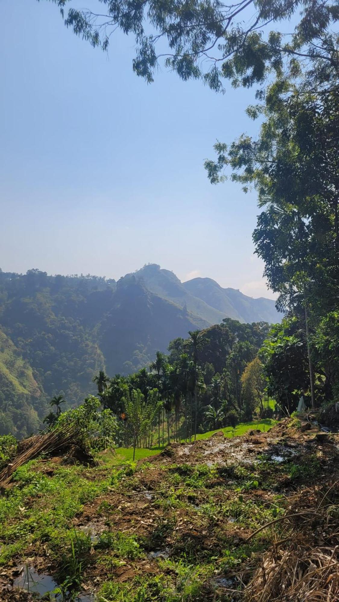 Forest Rawana Homestay Ella Exterior foto