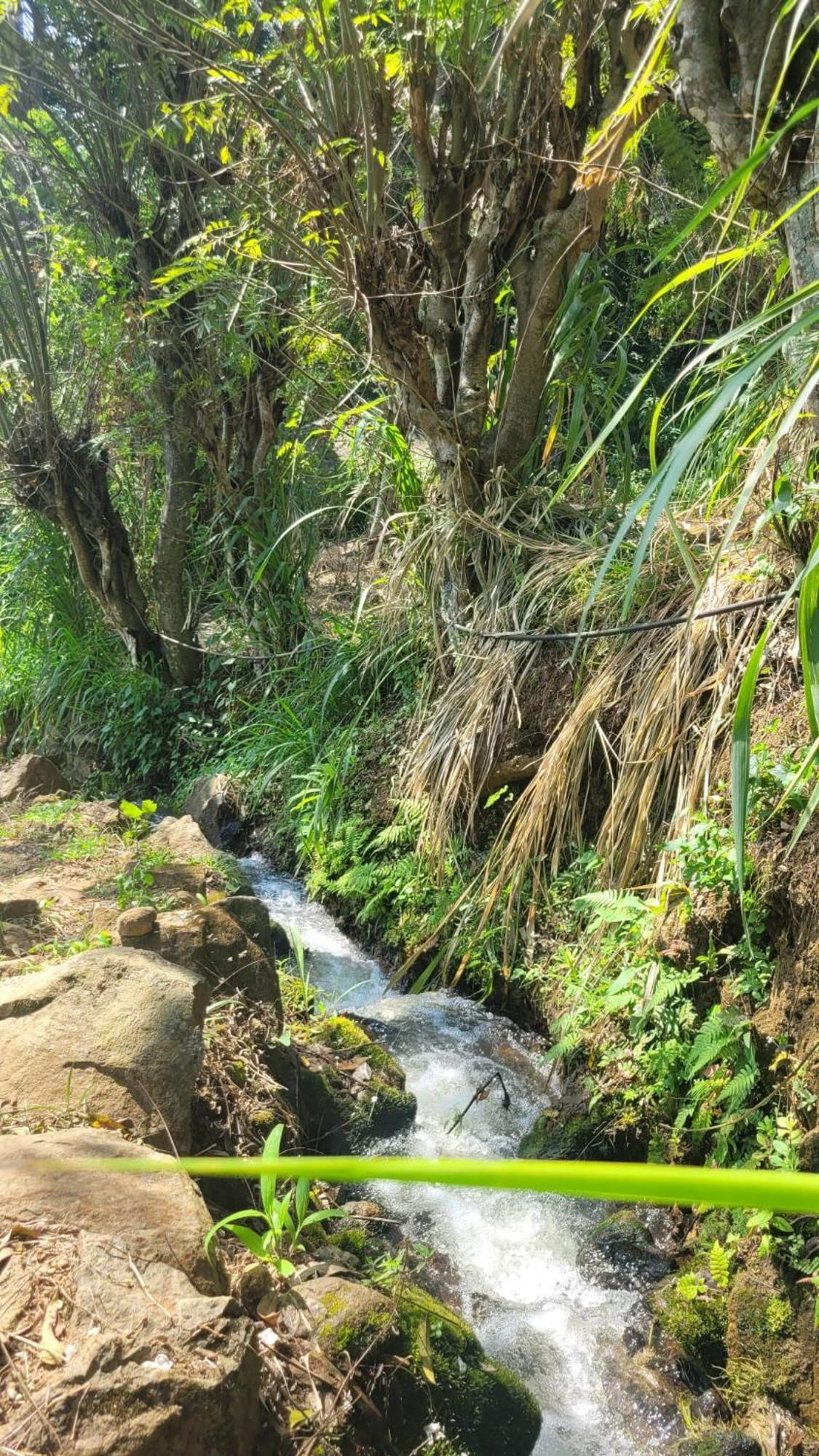 Forest Rawana Homestay Ella Exterior foto
