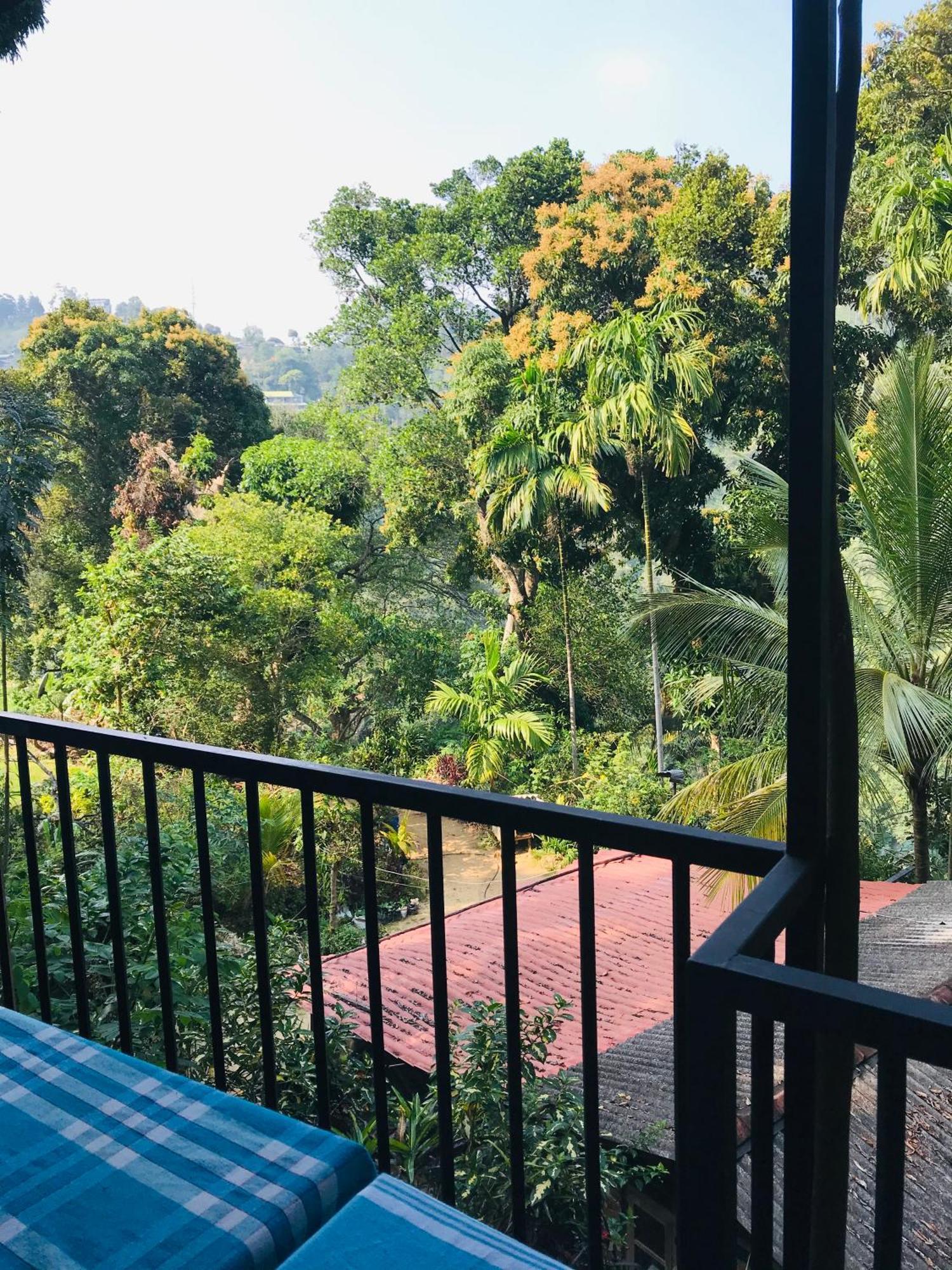 Forest Rawana Homestay Ella Exterior foto