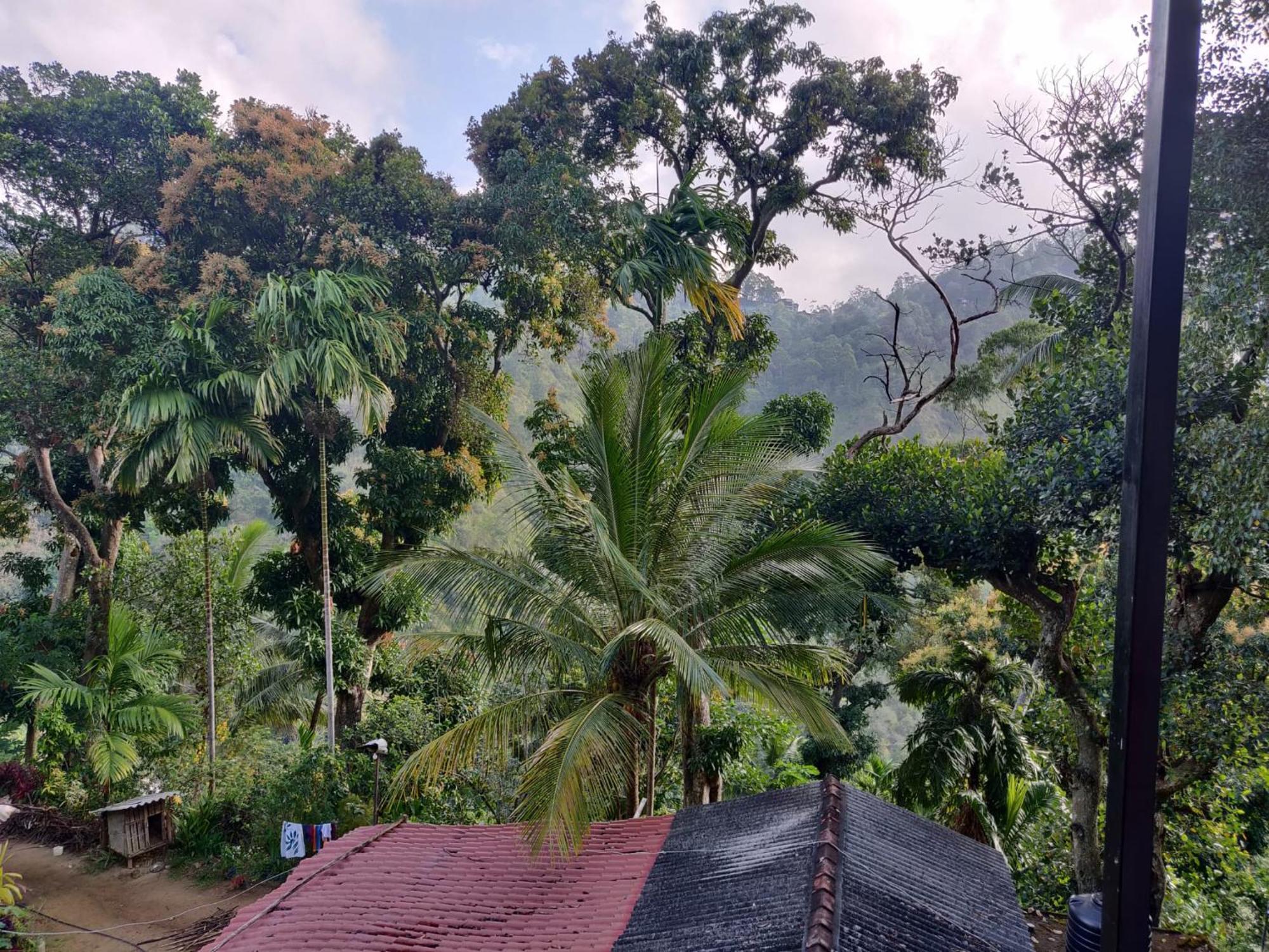 Forest Rawana Homestay Ella Exterior foto