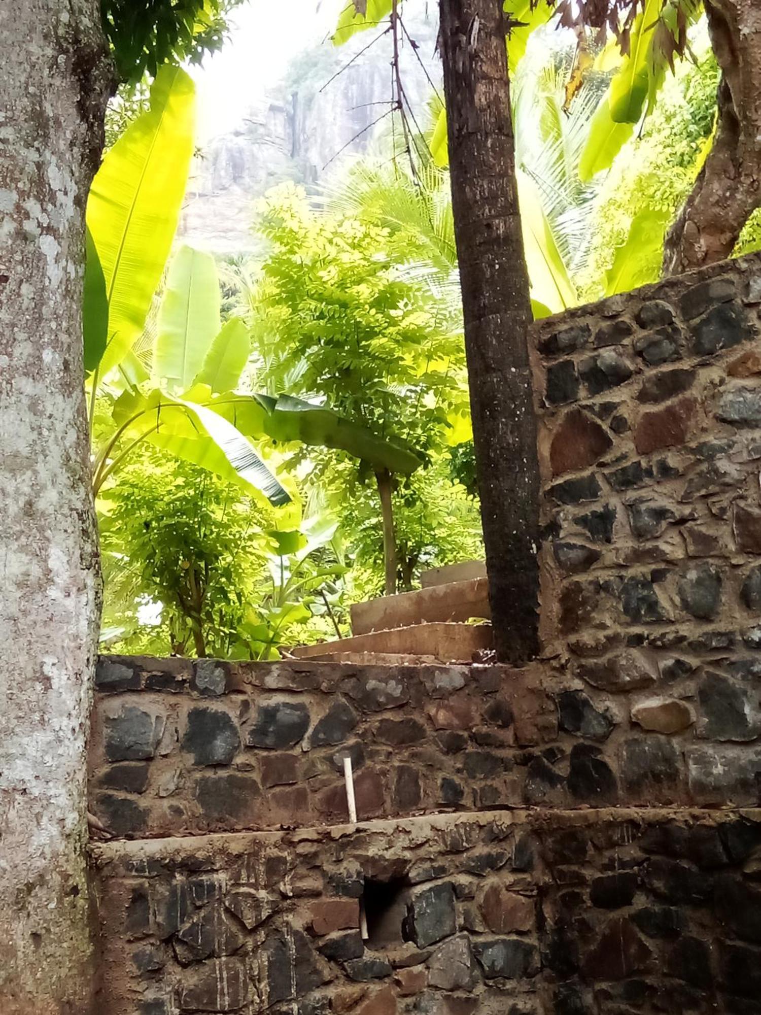 Forest Rawana Homestay Ella Exterior foto