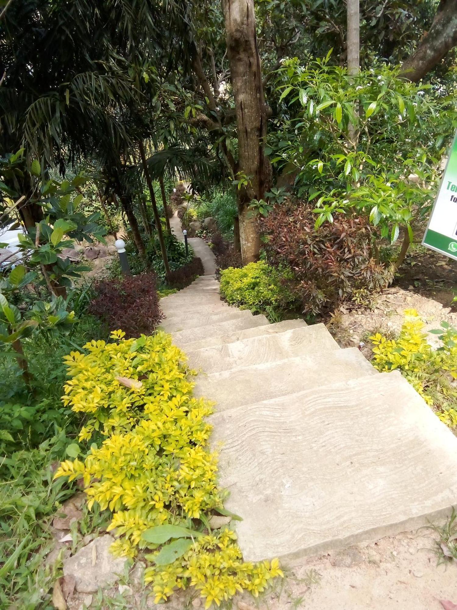 Forest Rawana Homestay Ella Exterior foto