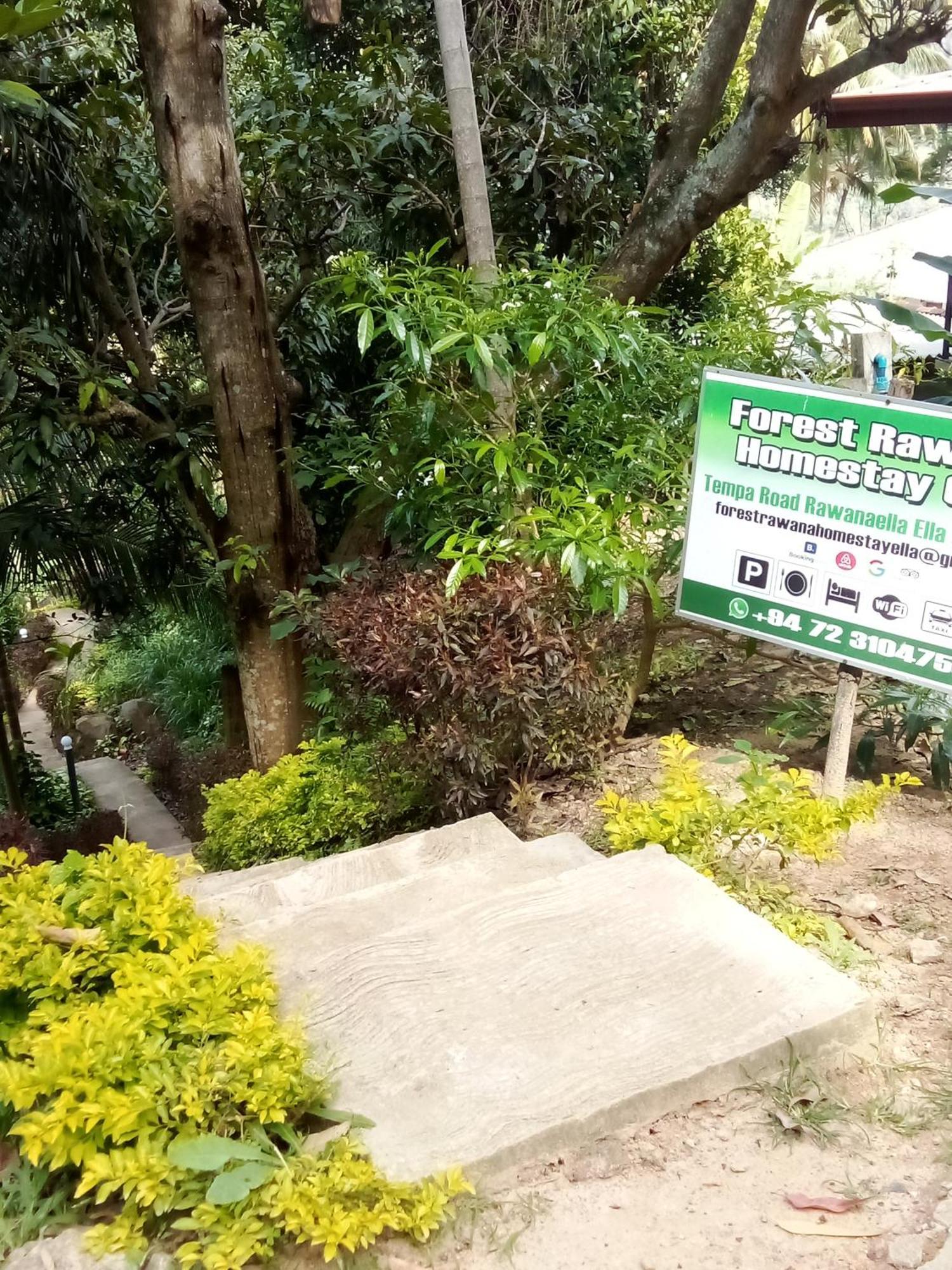 Forest Rawana Homestay Ella Exterior foto